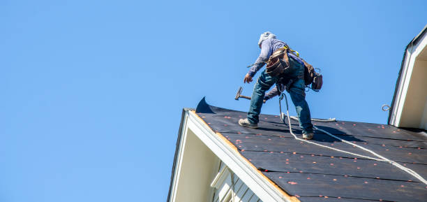 Roof Gutter Cleaning in Newtown Grant, PA
